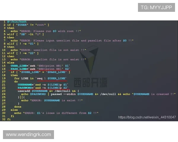 问鼎电脑版下载教程详解与操作指南