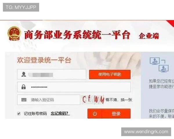 问鼎登录入口操作指南，详细步骤教你轻松完成登录流程