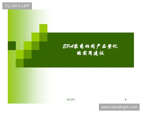 问鼎平台网页版登录账号安全保障措施提升账号安全防护能力的实用建议 问鼎平台网页版登录账号安全保障措施提升账号安全防护能力的实用建议